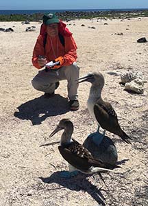 Joe Treaster Interviews a Blue Footed Boobie in the Galapagos. 